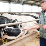 Trninić izabran za predsjednika Gradskog odbora Ujedinjene Srpske Laktaši